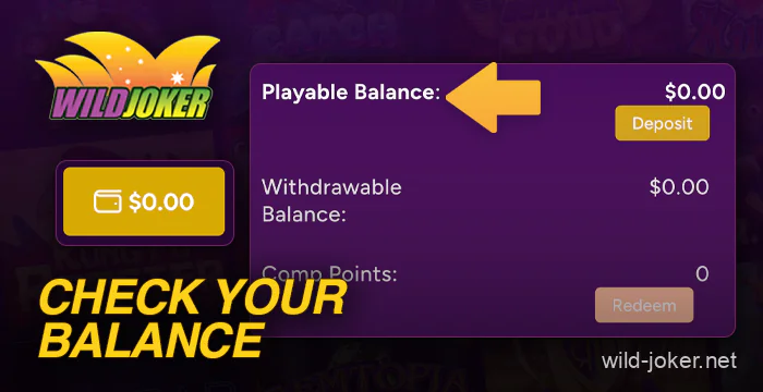 Check your account balance at Wild Joker Casino