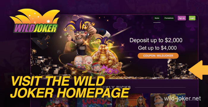 Go to the Wild Joker Casino homepage