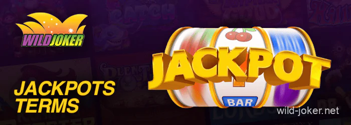 Jackpot terms and conditions on the Wild Joker Casino website